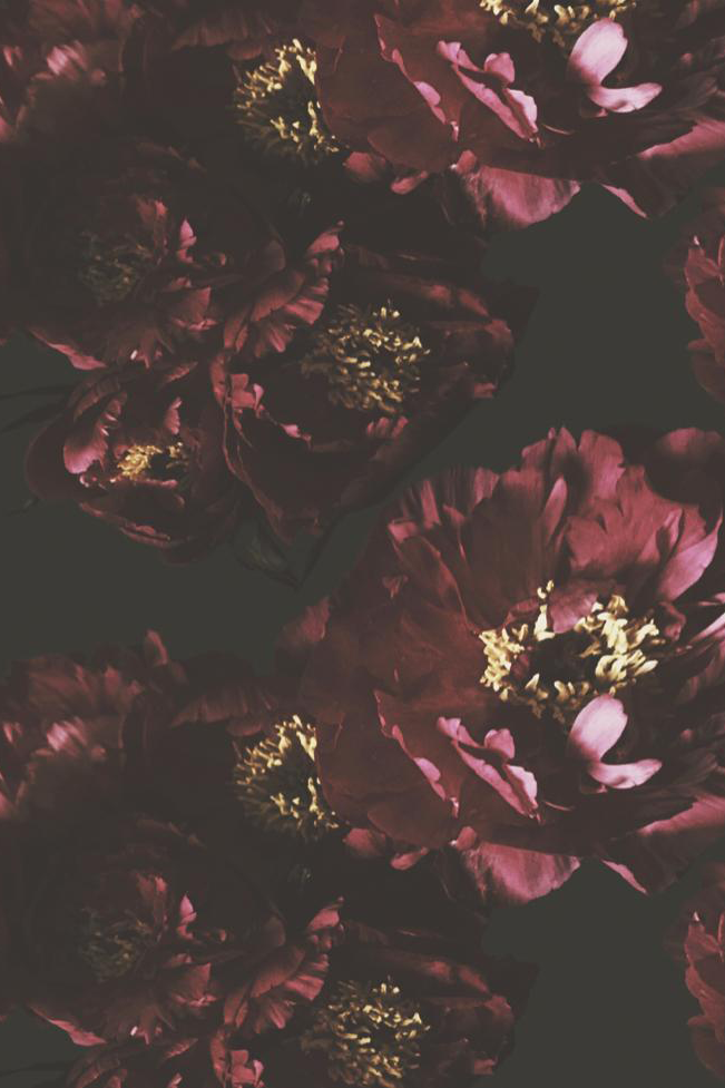 Centerfold Dark Floral Fabric - Ashley Woodson Bailey
