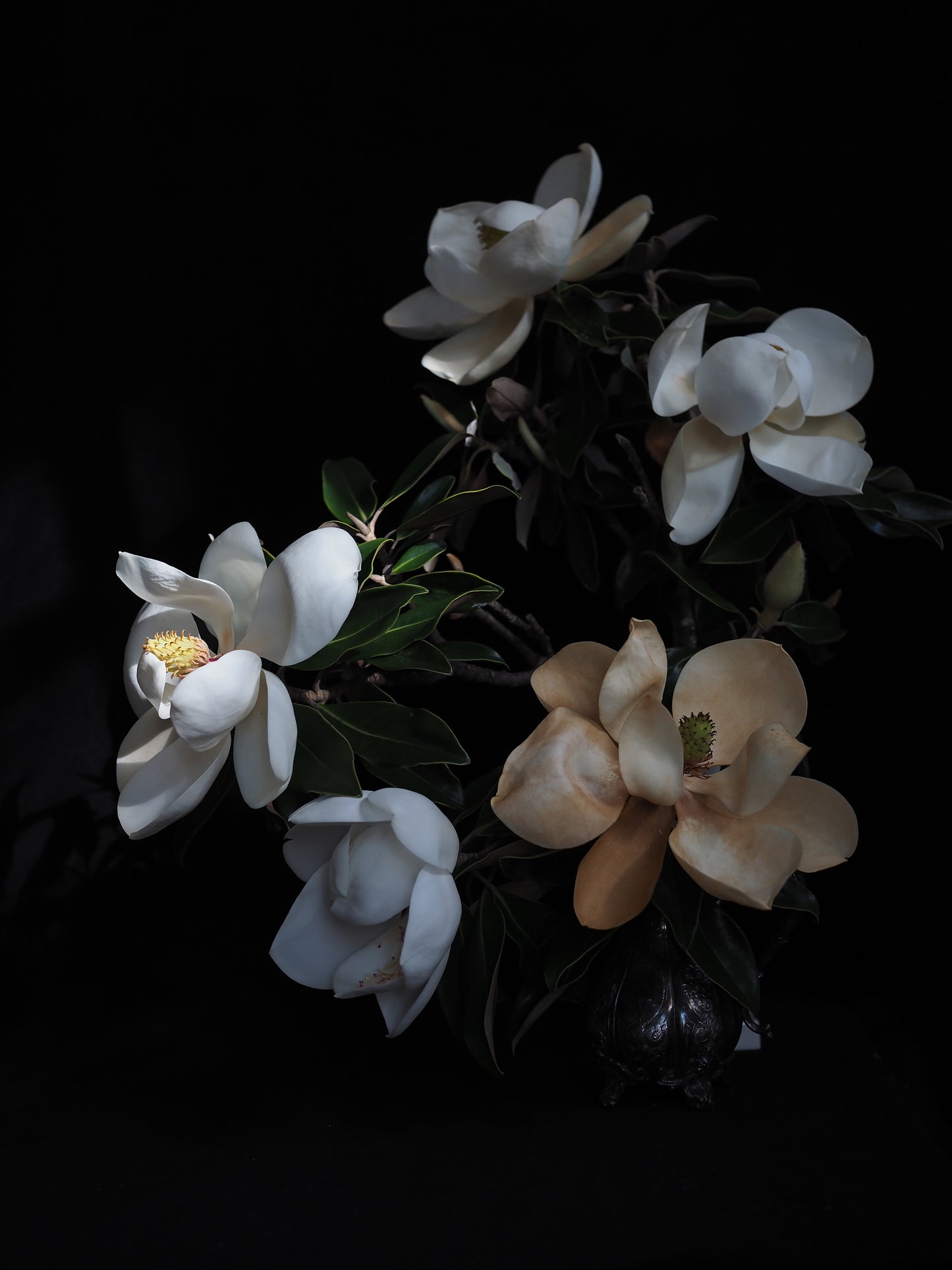 The Light - Ashley Woodson Bailey