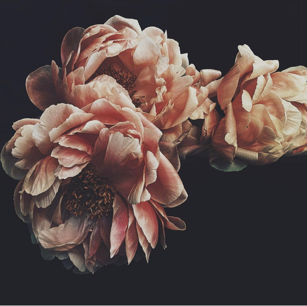 Martha Dark Floral Print