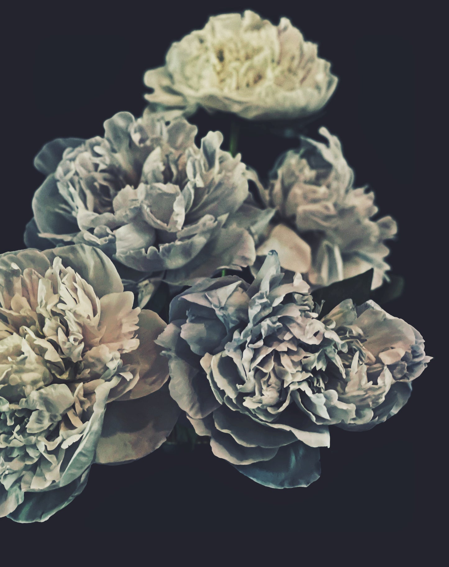 The Blues - Ashley Woodson Bailey