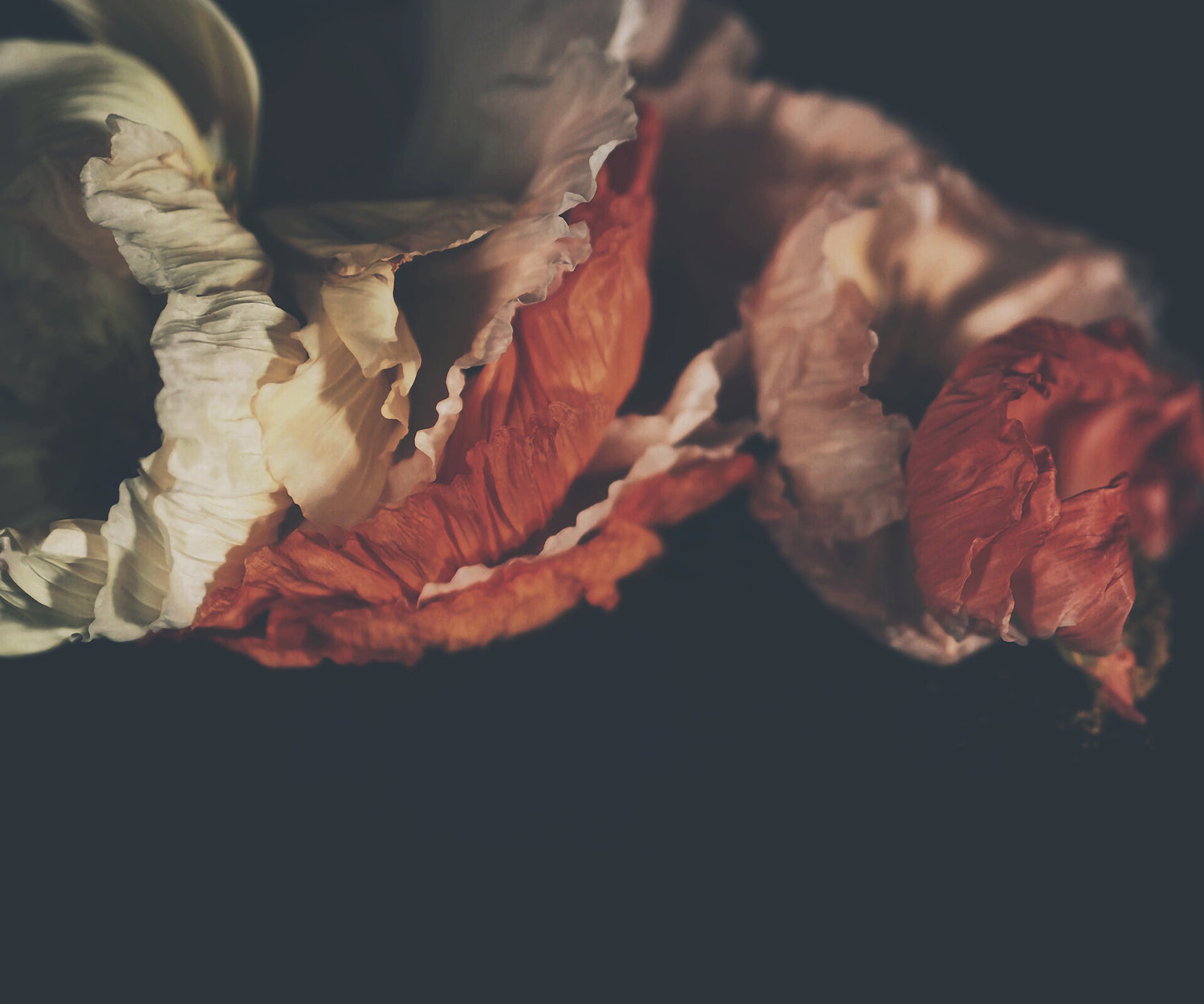 Layers Dark Floral Print - Ashley Woodson Bailey