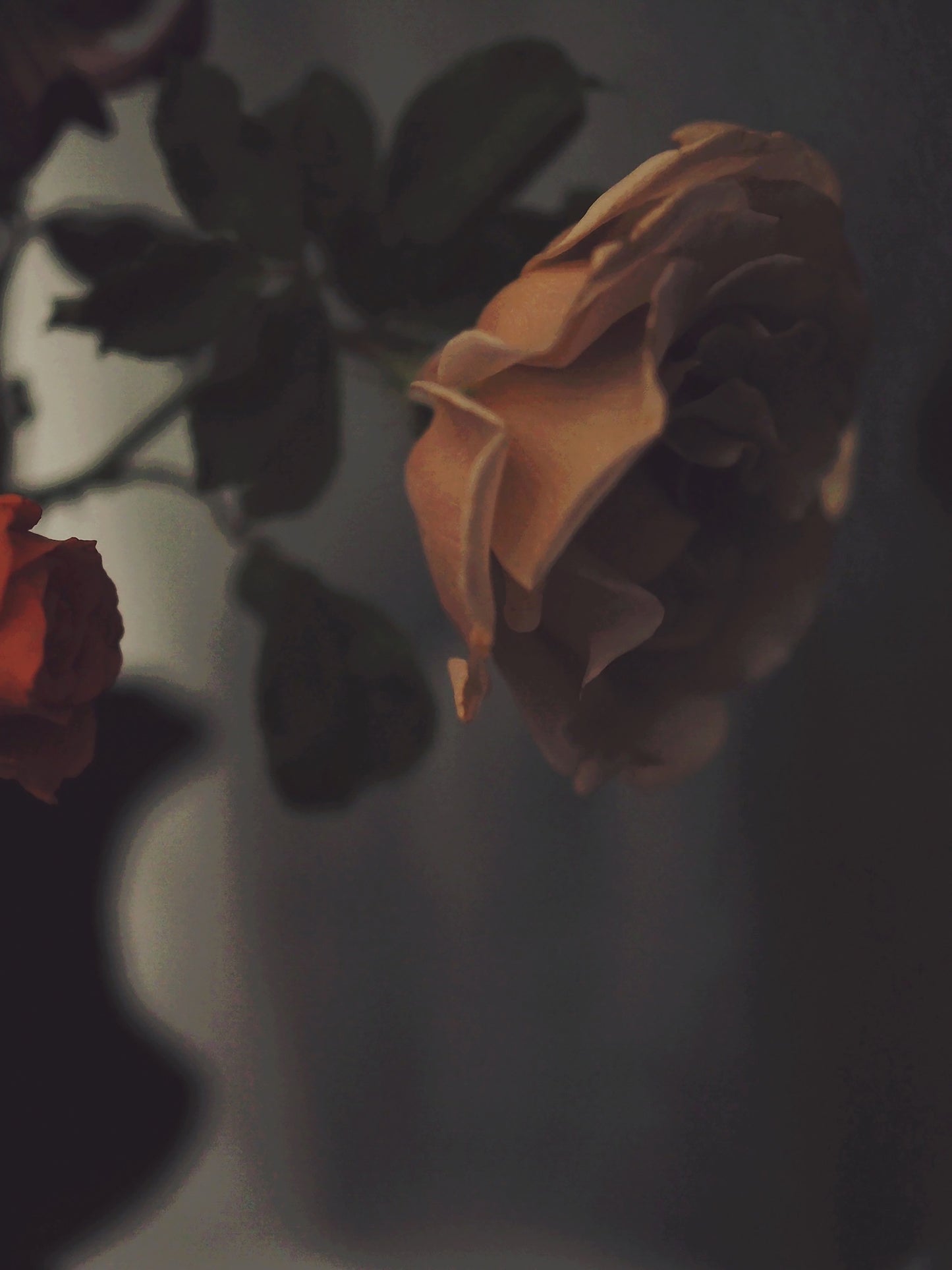Under His Eye - Ashley Woodson Bailey