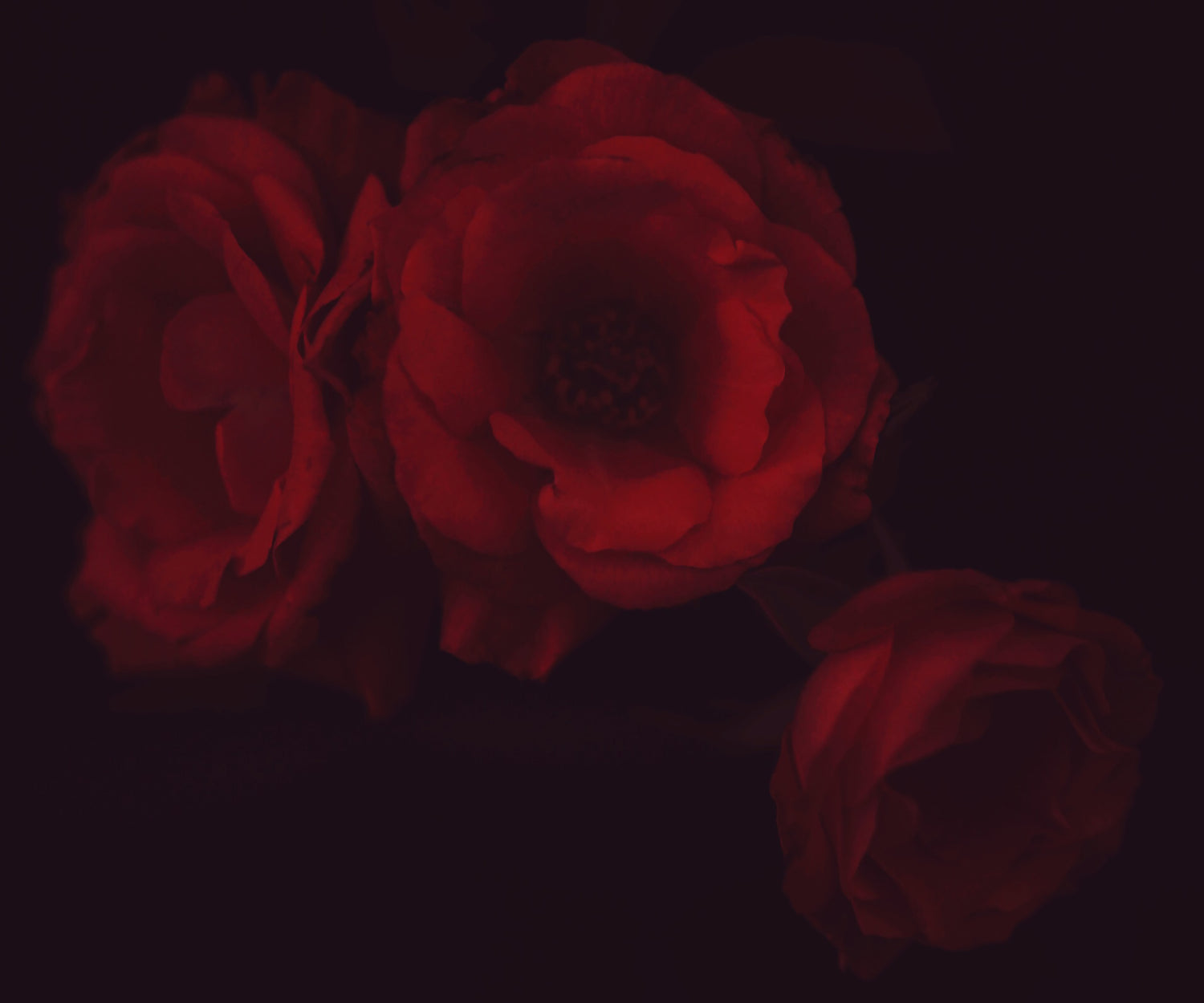Vada - Ashley Woodson Bailey