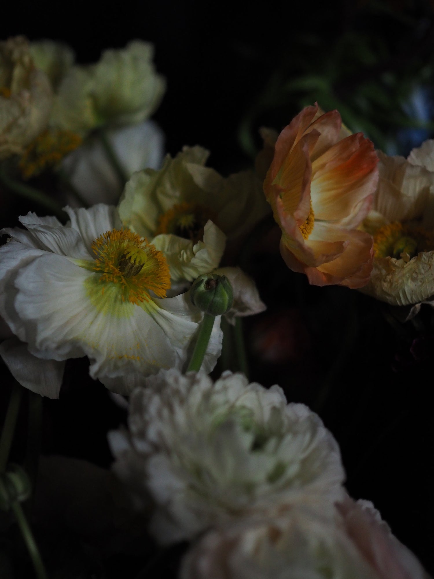 Wanderlust - Ashley Woodson Bailey