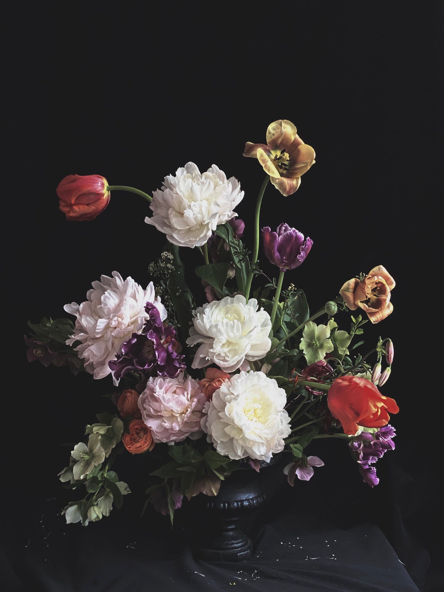 Anna - Ashley Woodson Bailey