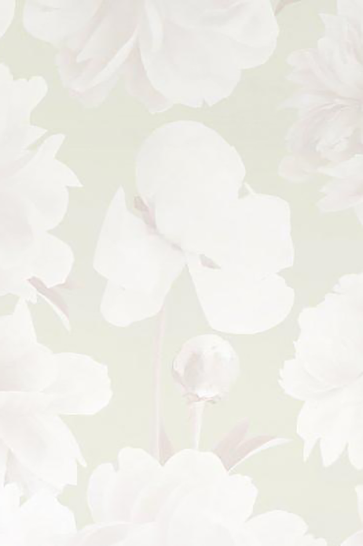 Ariella Neutral Floral Wallpaper - Ashley Woodson Bailey