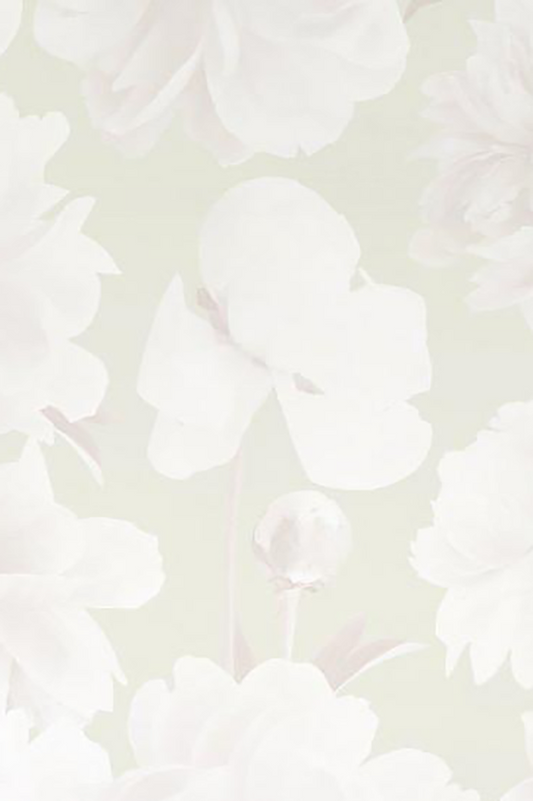 Ariella Neutral Floral Wallpaper - Ashley Woodson Bailey