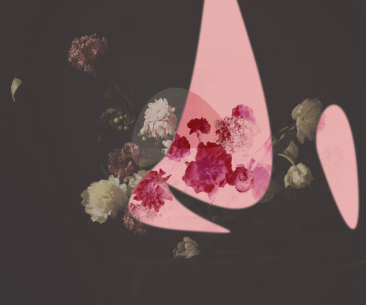 Galea on Acid - Ashley Woodson Bailey