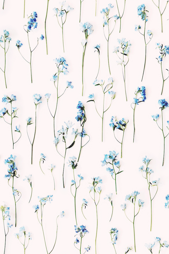 Georgina Light Floral Wallpaper - Ashley Woodson Bailey