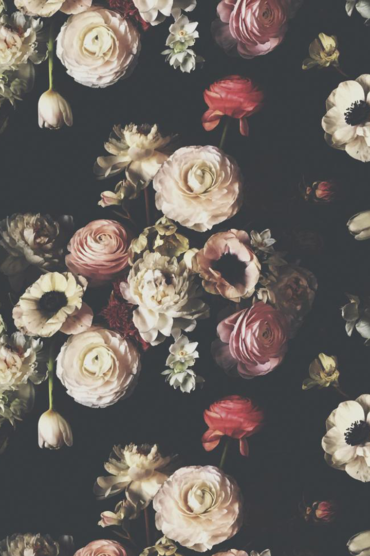 Into the Garden Black Dark Floral Wallpaper - Ashley Woodson Bailey