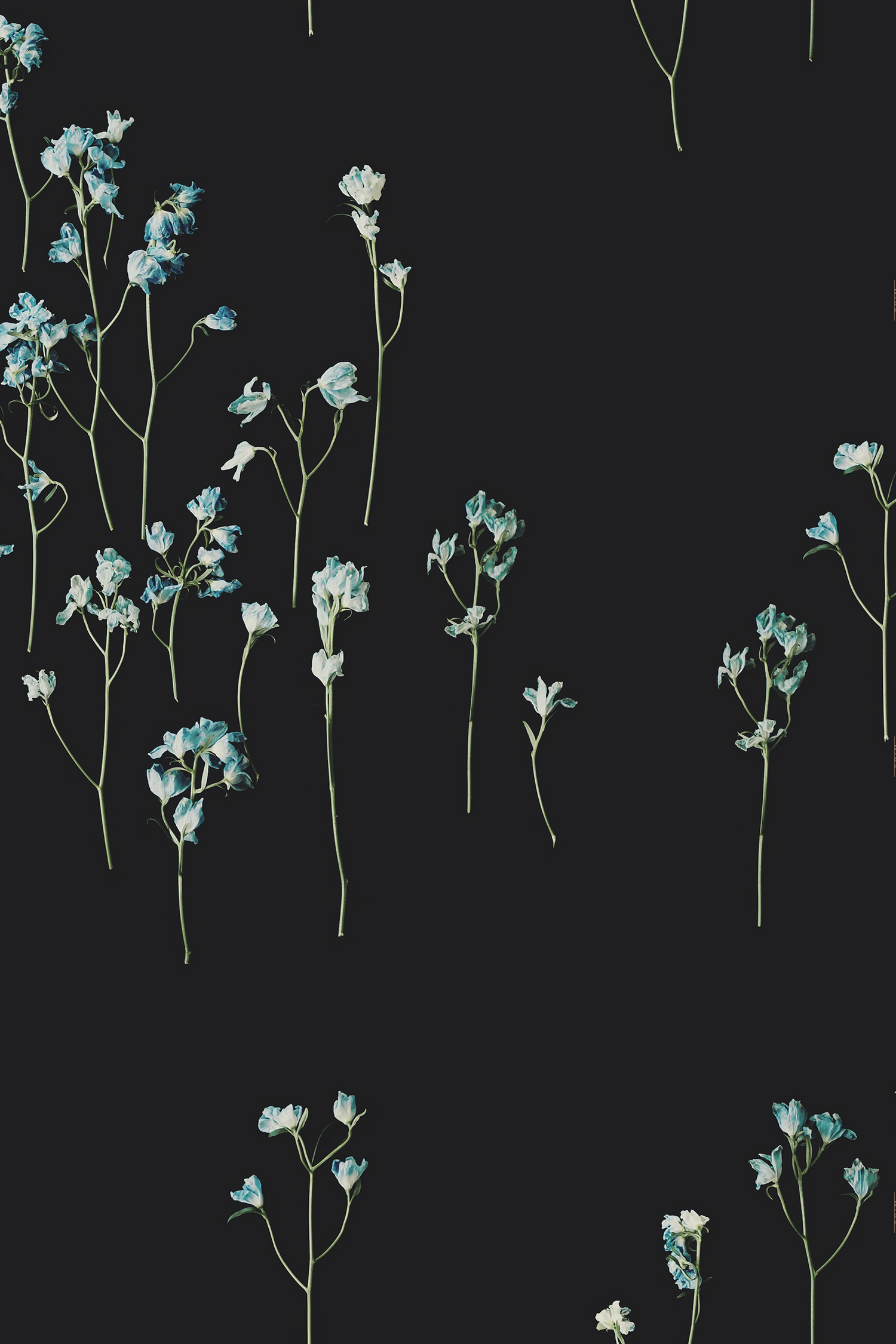 Josephine Dark Floral Wallpaper - Ashley Woodson Bailey