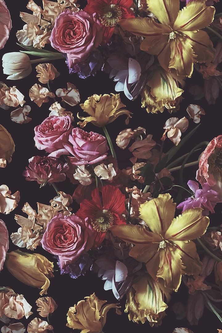 Louise Dark Floral Wallpaper - Ashley Woodson Bailey