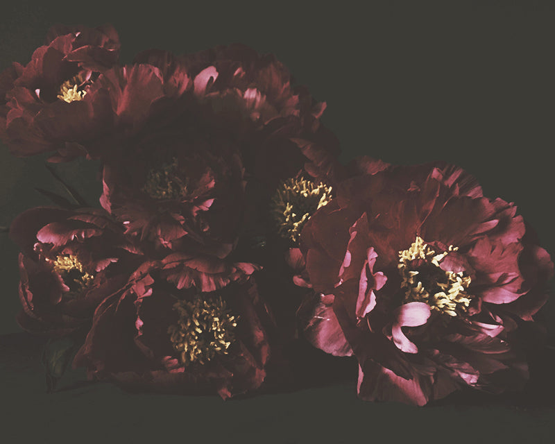 La Corona de la Flor de Frida - Ashley Woodson Bailey