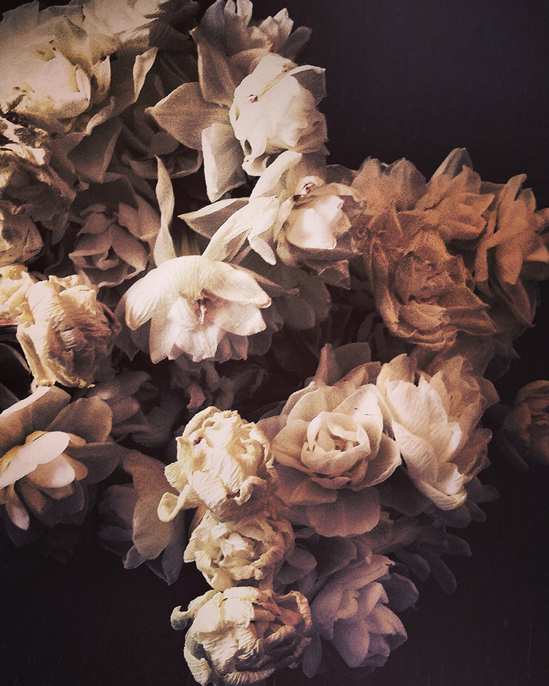 Much Regard - Ashley Woodson Bailey