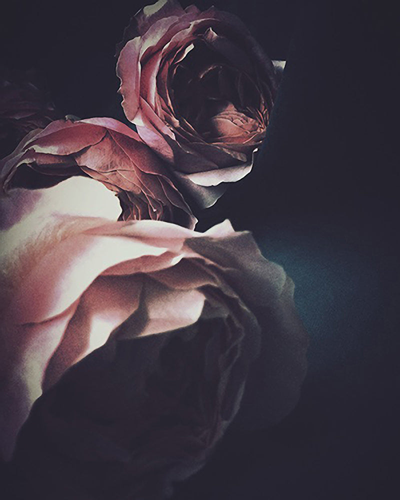 Pure Love Dark Floral Print - Ashley Woodson Bailey