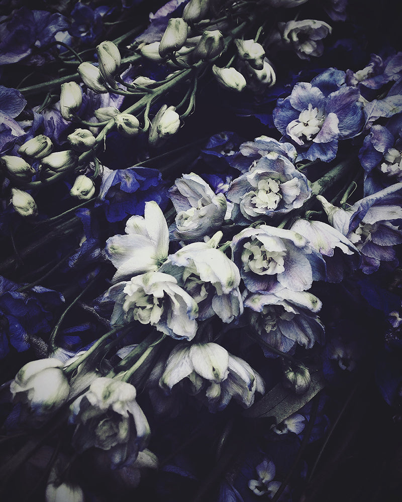 Storm Dark Floral Tray - Ashley Woodson Bailey