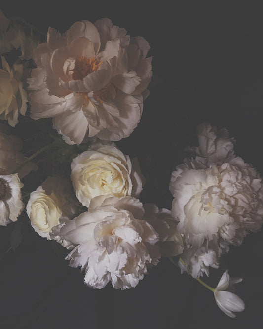 The Way We Were Dark Floral Print - Ashley Woodson Bailey