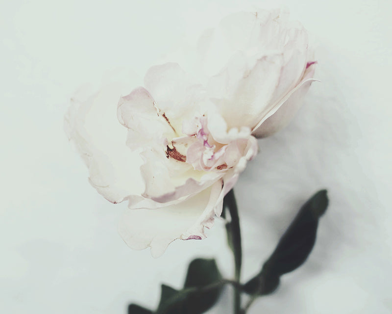 Welcome - Ashley Woodson Bailey