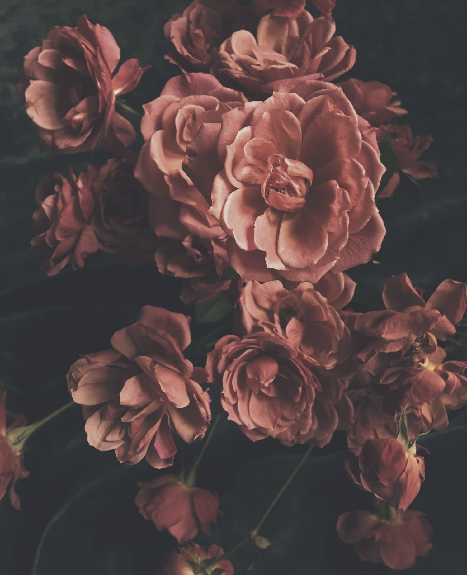 Saint Therese Dark Floral Print - Ashley Woodson Bailey