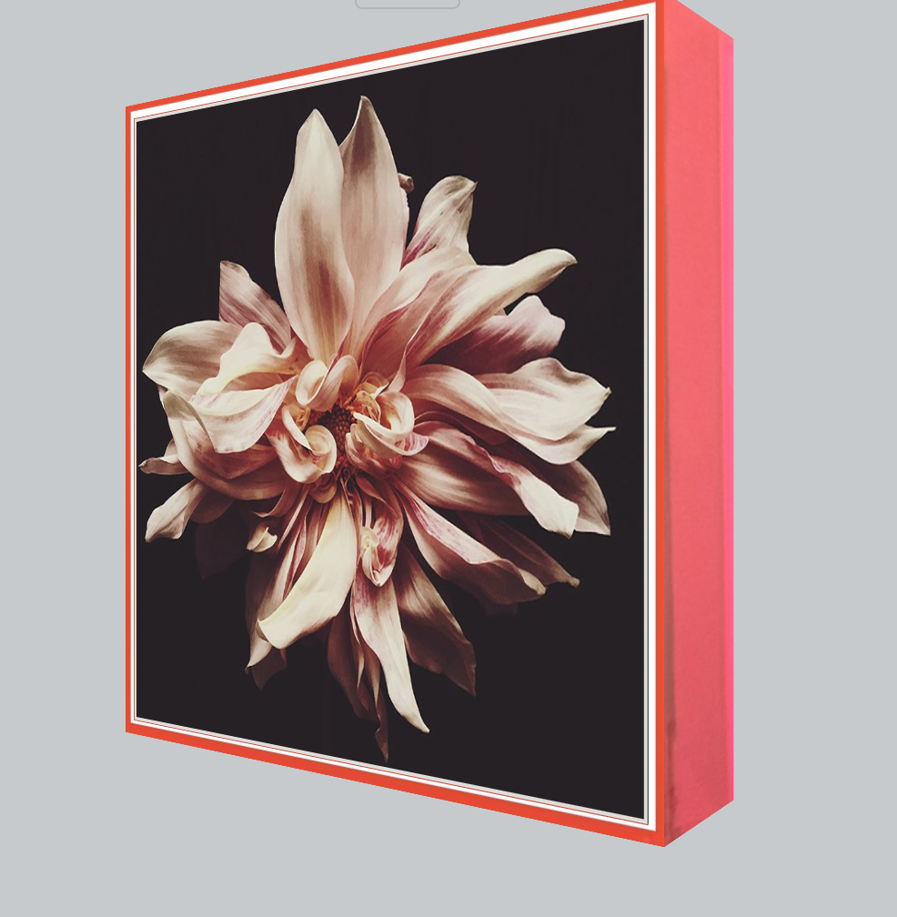 Syd Dark Floral Print - Ashley Woodson Bailey