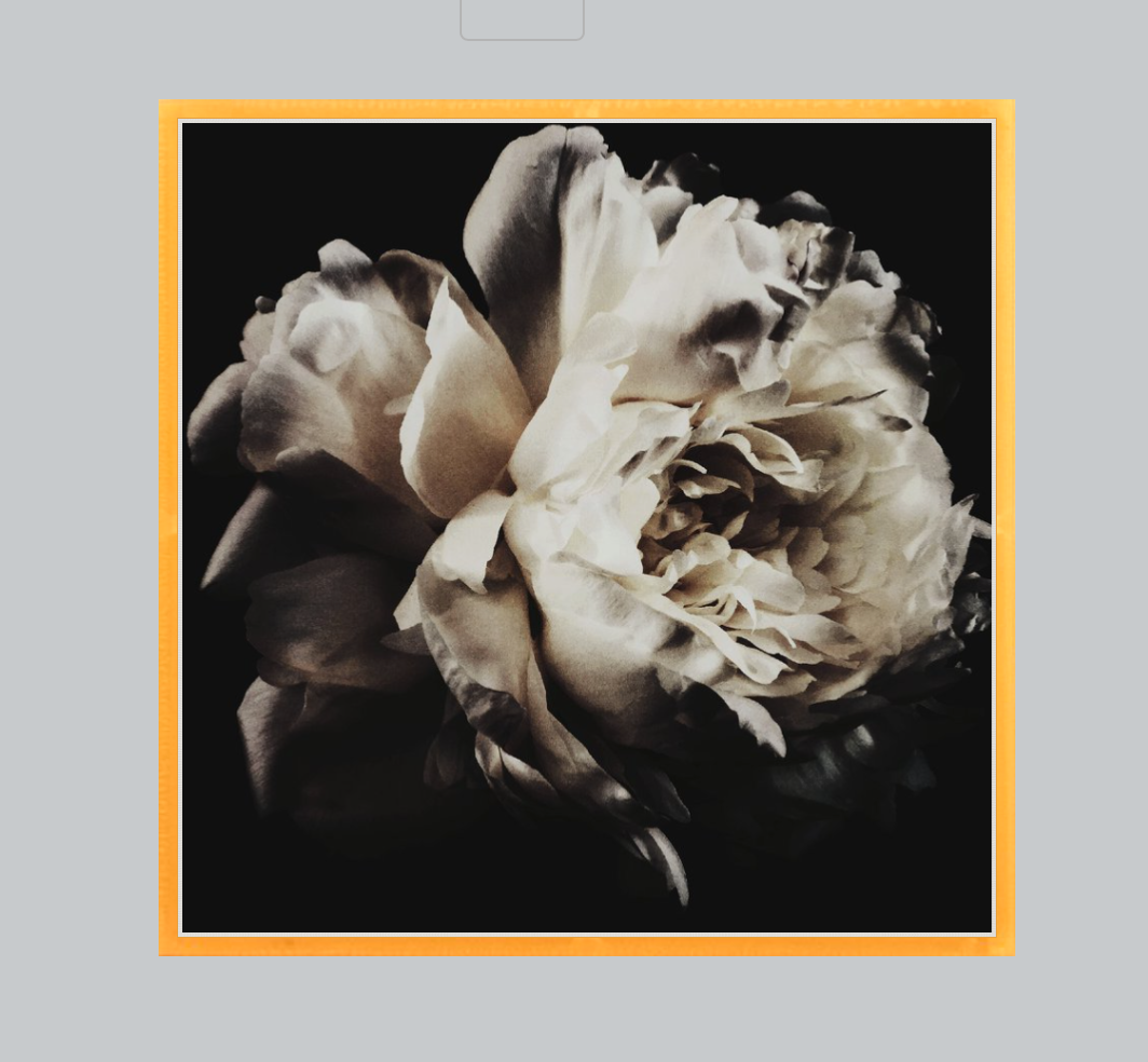 Michelle Dark Floral Print - Ashley Woodson Bailey