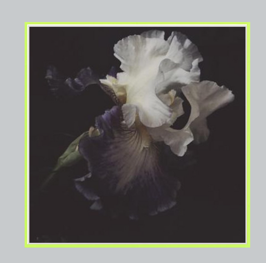 Wonder Dark Floral Print - Ashley Woodson Bailey