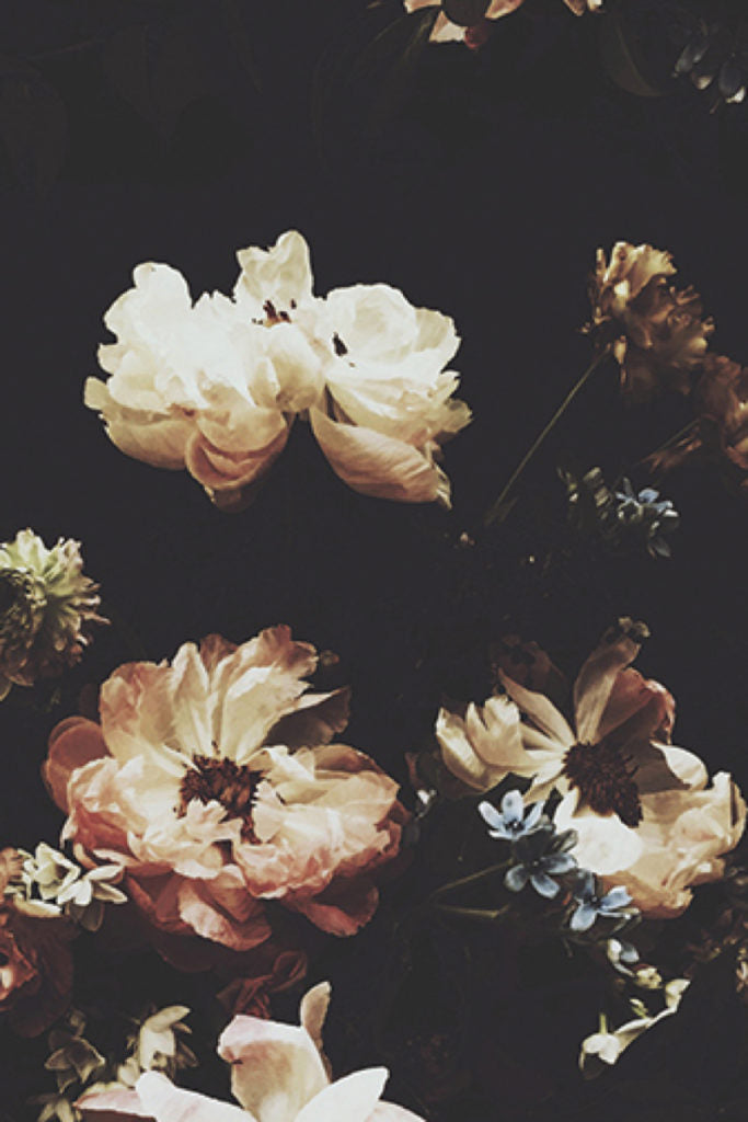 The Hunt Dark Floral Wallpaper - Ashley Woodson Bailey