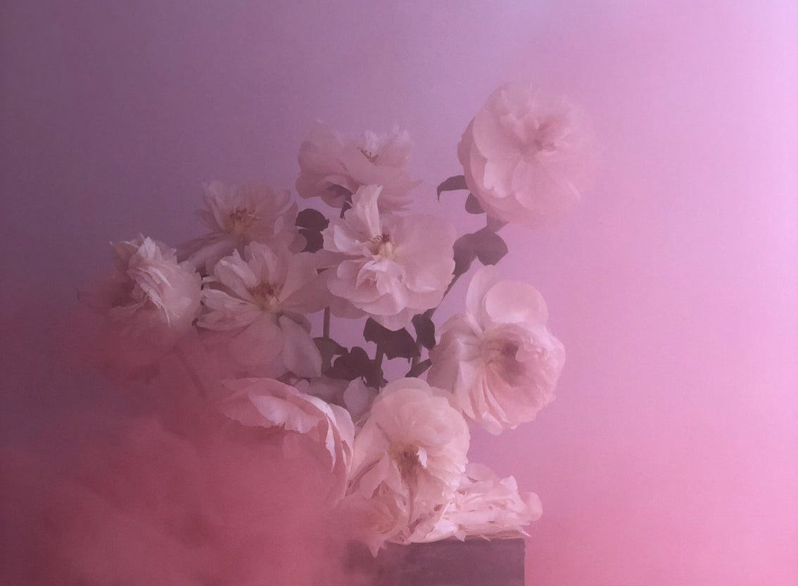 Wonderland - Ashley Woodson Bailey