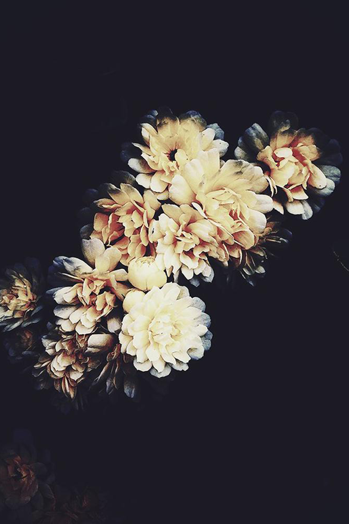 Banks Dark Floral Print - Ashley Woodson Bailey