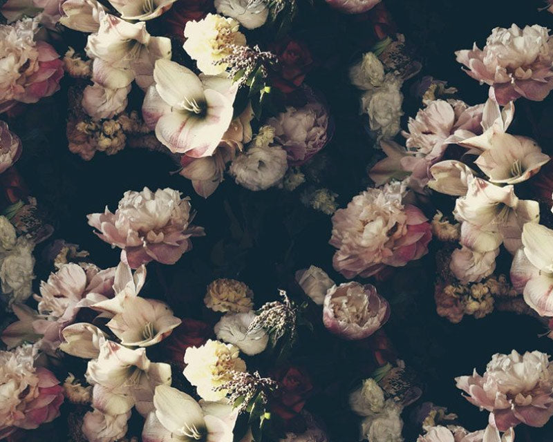 Dutch Love Dark Floral Wallpaper - Ashley Woodson Bailey