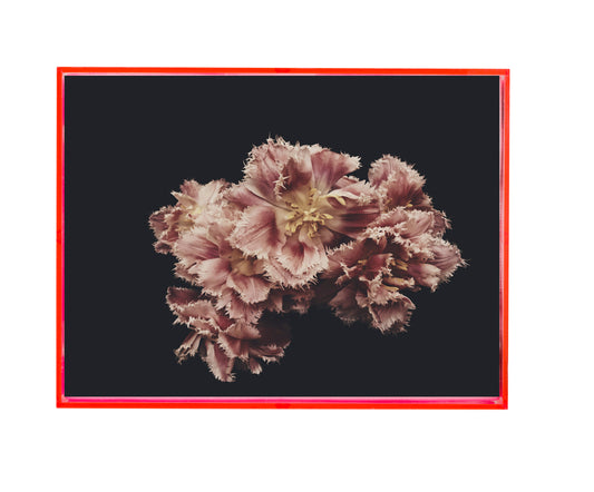 Fringe Dark Floral Print - Ashley Woodson Bailey