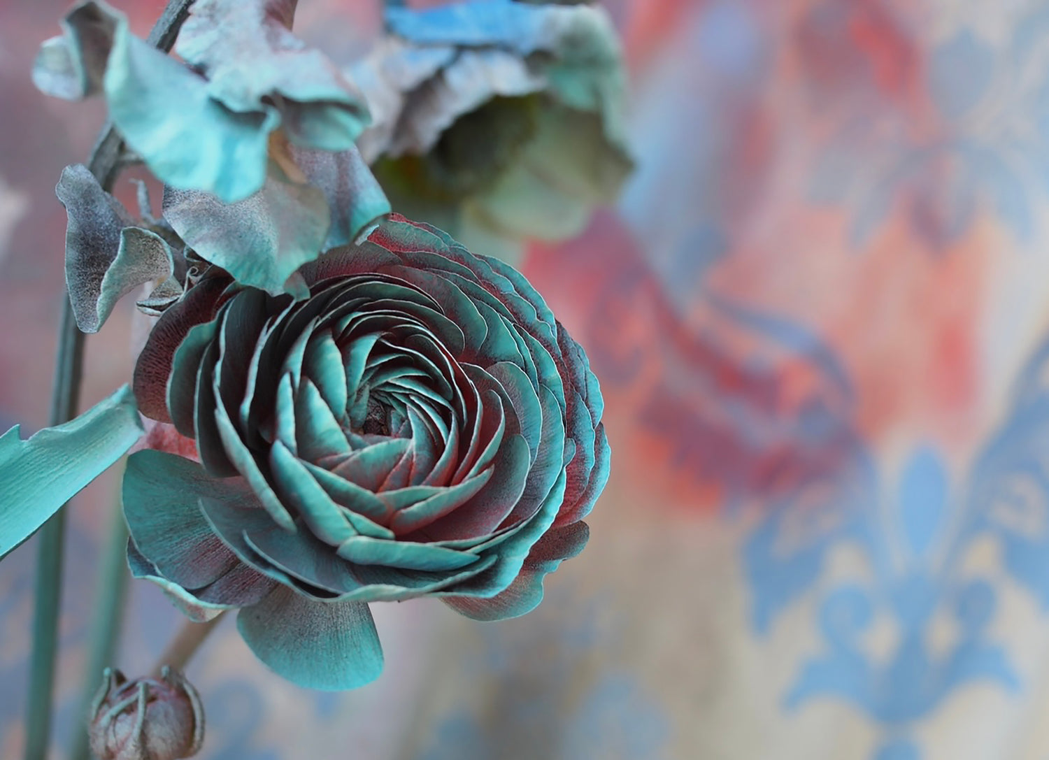 Graffiti Ranunculus - Ashley Woodson Bailey