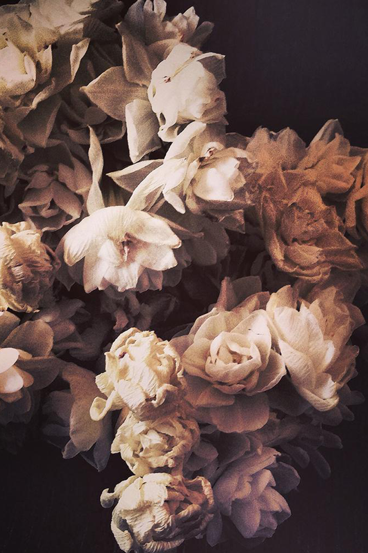 Much Regard Dark Floral Print - Ashley Woodson Bailey
