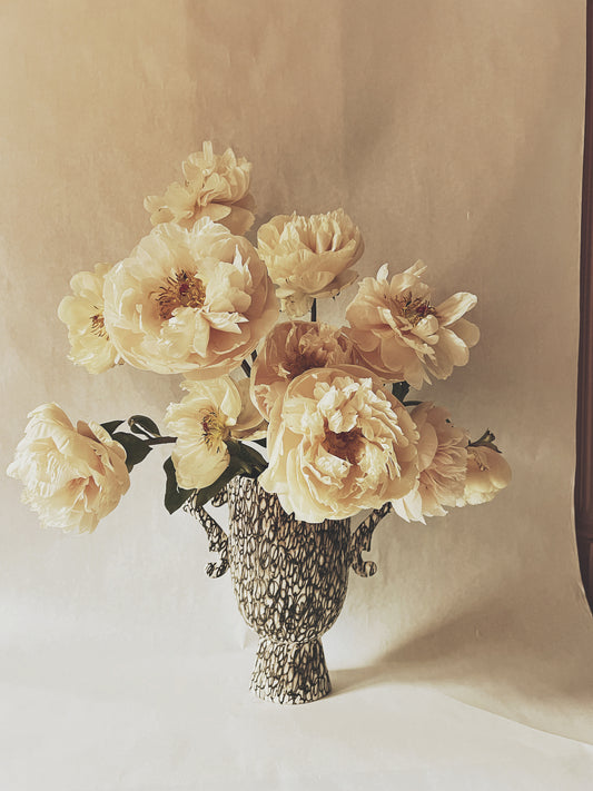 Roe - Ashley Woodson Bailey