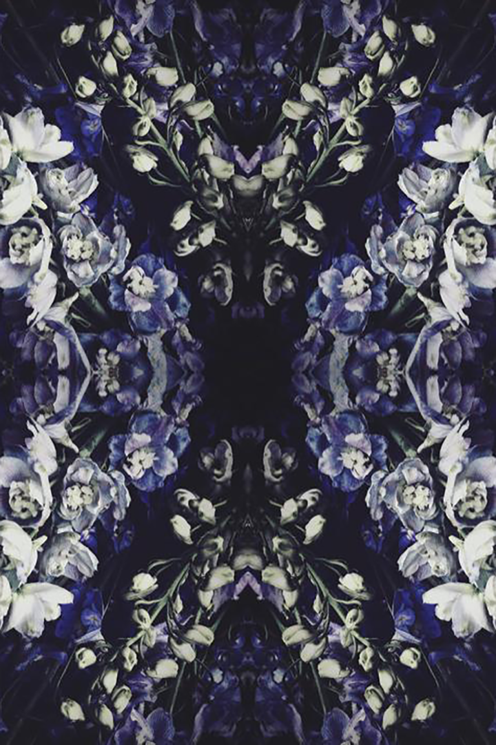Storm Dark Floral Wallpaper - Ashley Woodson Bailey