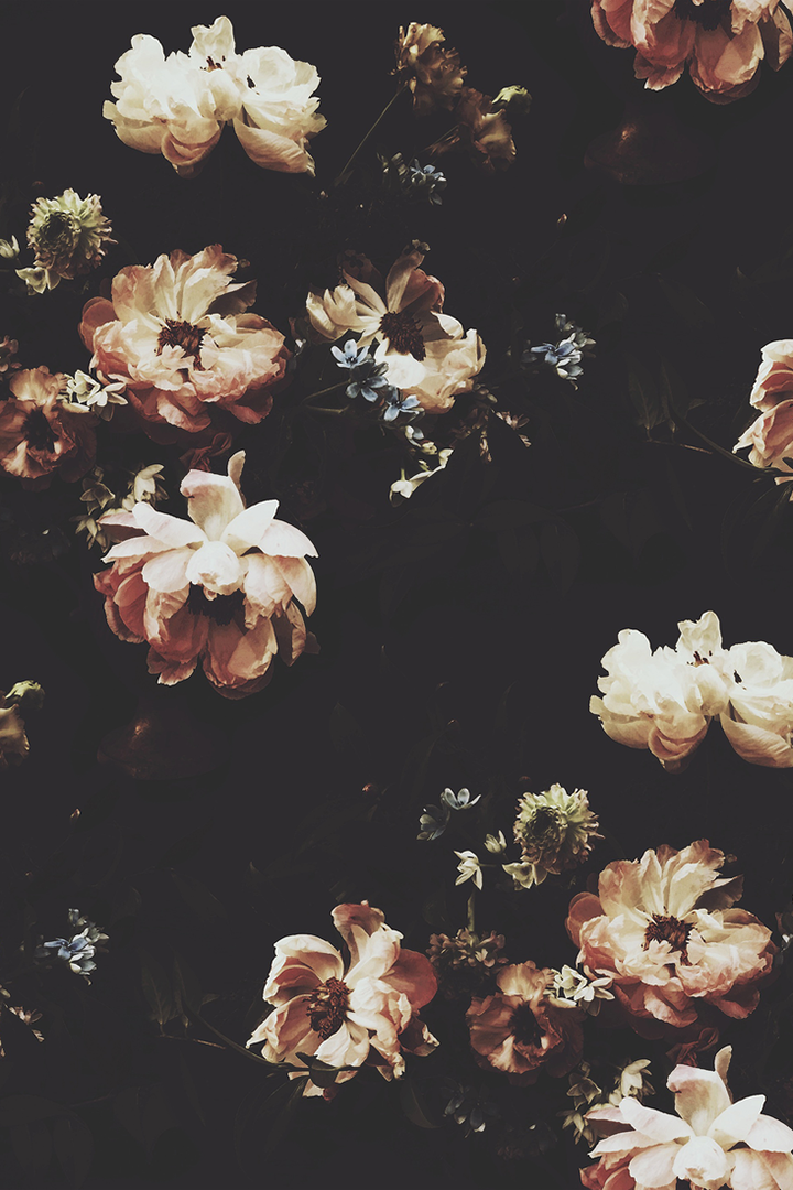 The Hunt Dark Floral Wallpaper - Ashley Woodson Bailey