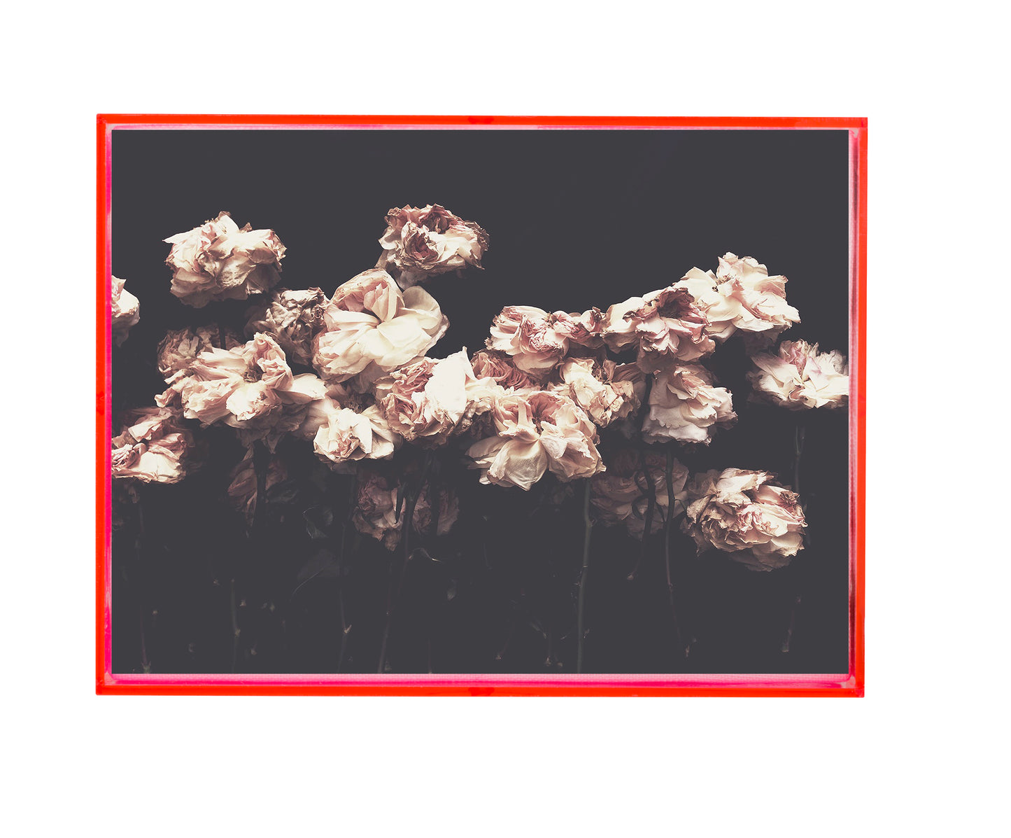 The Dance Dark Floral Print - Ashley Woodson Bailey